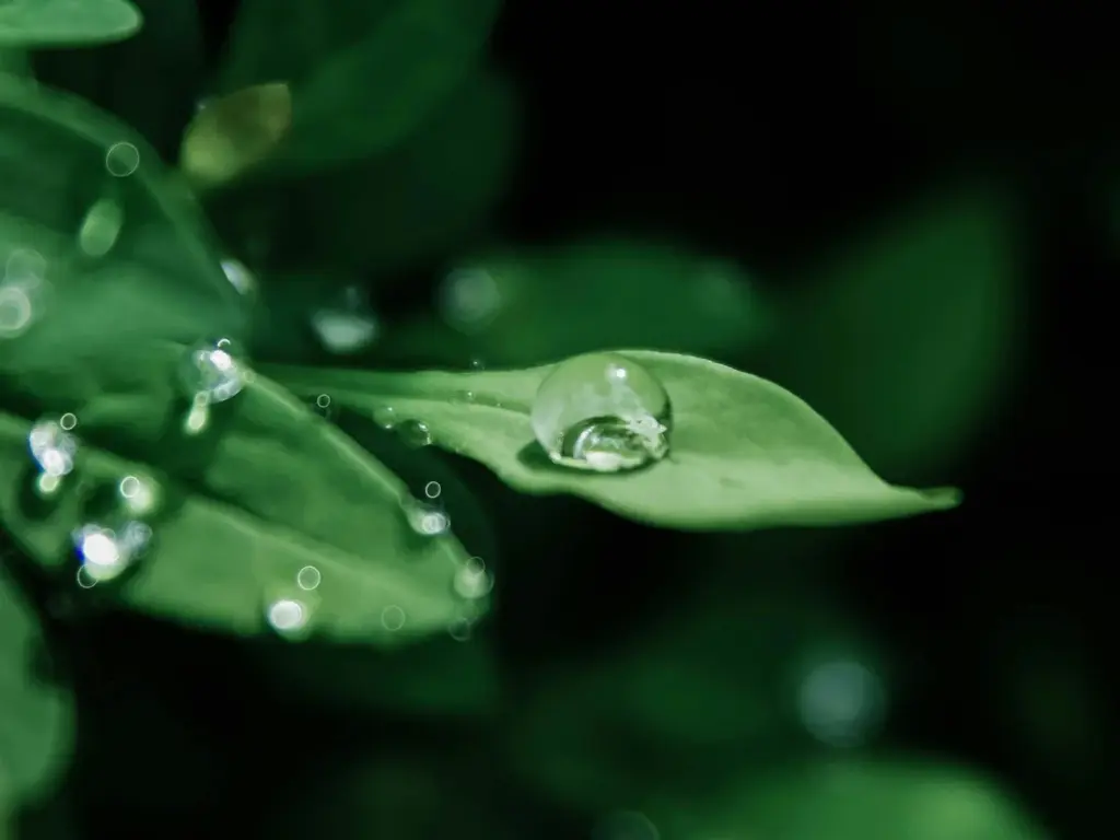 Viva-Deluxe GmbH München - Nachhaltigkeit